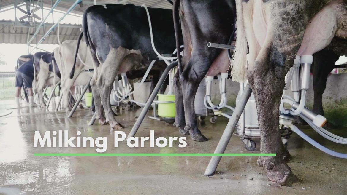 Milking Parlors
