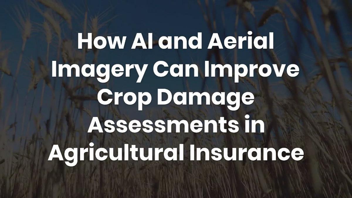 'Video thumbnail for How AI and aerial imagery can improve damage assessments in agricultural insurance'