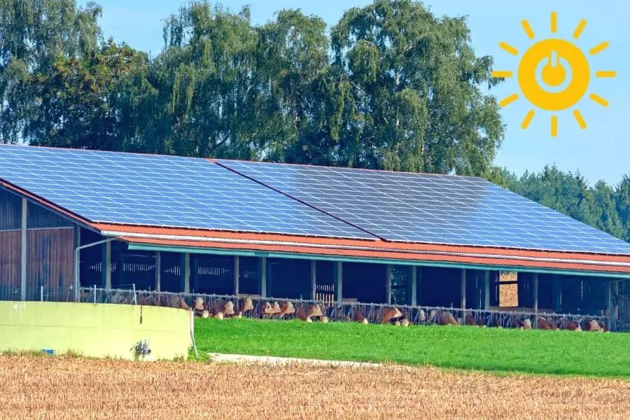 dairy farm shed with solar panels on the roof
