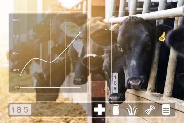 dairy farm automation- data analysis