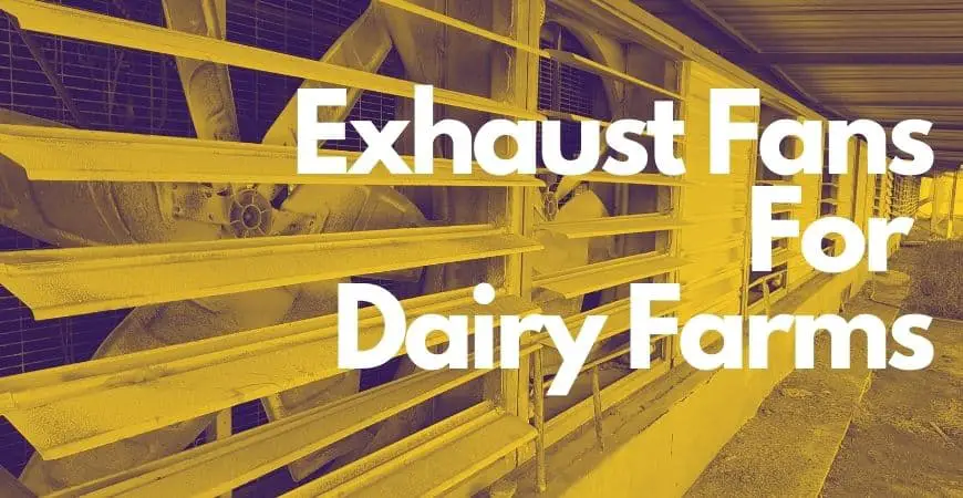 Top Exhaust Fans for Dairy Farms