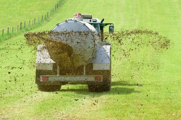 tractor spreading manure