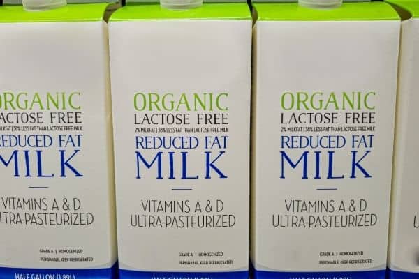lactose free milk