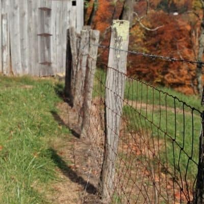 woven wire fence