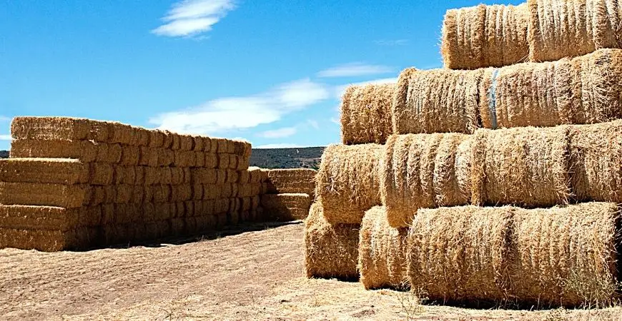 square and round hay bales