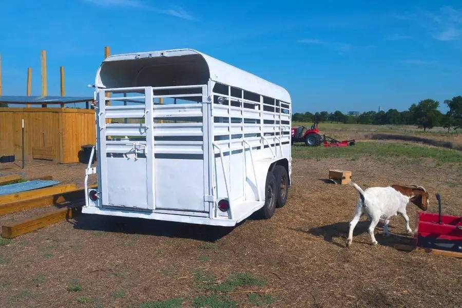 trailer for goats; livestock trailer
