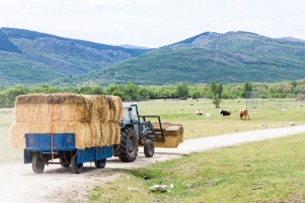tractor transporting hay bale