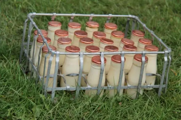 Milk Bottles 